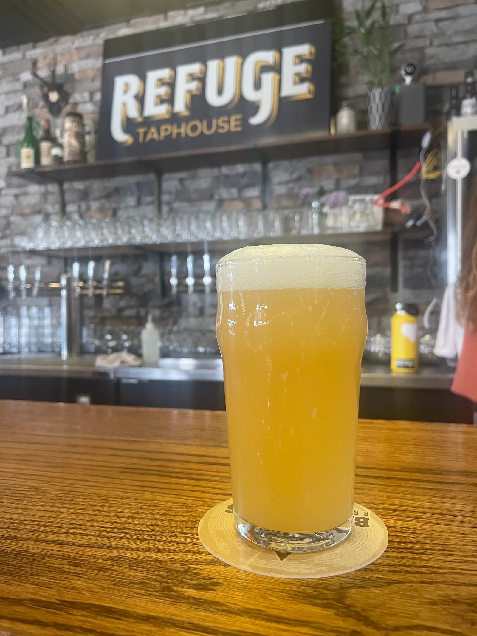 A hazy pint on the bar, under the Refuge Taphouse sign on the stone wall