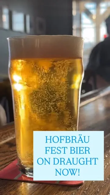 A pint of Hofbräu Fest Bier on draught